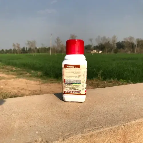 Mesotrione 50g/Ltr Atrazine 500g/Ltr Weedicide 400ml - Patron Chemicals - Price in Pakistan Today (جڑی بوٹی مار دوا) - Pesticides (Kissan Cares) Price in Pakistan Online | Kissan Cares - Back View Thumbnail