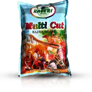 Bajra Multicut Bajra Millet High Quality Desi Hybrid Seed 2kg - KISSAN Cares - Price in Pakistan Today (بیج) - Seeds (Hybrid seeds Pakistan) Price in Pakistan Online | Kissan Cares