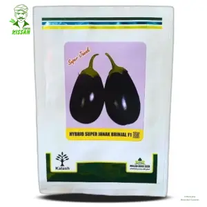 Janak Brinjal Seeds Pack Baingan (bengun) Pakistan F1 Hybrid Super Hybrid Seed 10g - Millan Agro Seed - Price In Pakistan Today (بیج) - Hybrid Seeds (Janak Brinjal seeds price Pakistan) Price in Pakistan Online | Kissan Cares