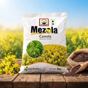 (کینولا کا بیج) Mezola Canola Seed Pakistan | Premium Quality Canola Seeds For Farming | Buy Canola Seed Online From Kissan Cares Canola Beej Cazola Beej 2kg - Bio Traders Tarzan Four Brothers - Hybrid Seeds