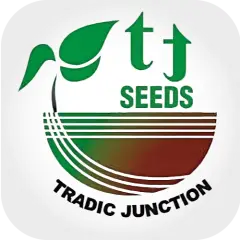 Tradic Junction