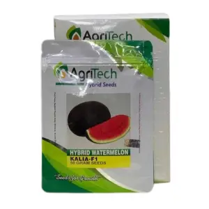 Watermelon Kalia Oblong Agritech Green F1 Hybrid Gold Hybrid Seed 50g - AgriTech Seeds - Price in Pakistan Today (تربوز) - Hybrid Seeds (Hybrid seeds Pakistan) Price in Pakistan Online | Kissan Cares