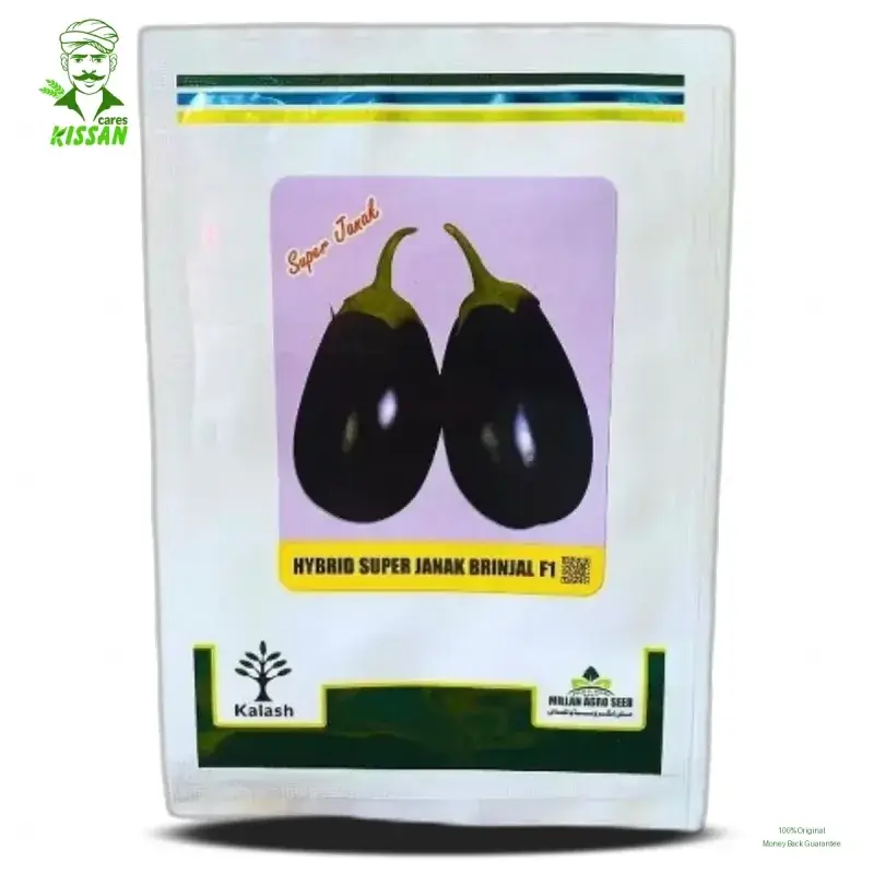 Janak Brinjal Seeds Pack Baingan (bengun) Pakistan F1 Hybrid Super Hybrid Seed 10g - Millan Agro Seed - Price In Pakistan Today (بیج) - Hybrid Seeds (Janak Brinjal seeds price Pakistan) Price in Pakistan Online | Kissan Cares - Application View Thumbnail