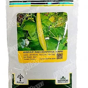Radhika Sponge Gourd Tori Kalash Limited F1 Hybrid Seed 50 g - Kalash Seeds pvt. Limited - Price in Pakistan Today (بیج) - Hybrid Seeds (Hybrid seeds Pakistan) Price in Pakistan Online | Kissan Cares - Back View