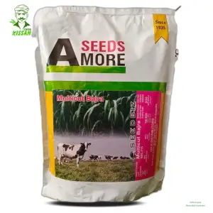 Biz Multicut Bajra Greengold Agri Seeds Hybrid Seed 2kg - Kissan Cares - Price In Pakistan Today (بیج) - Seeds (Hybrid seeds Pakistan) Price in Pakistan Online | Kissan Cares - Back View