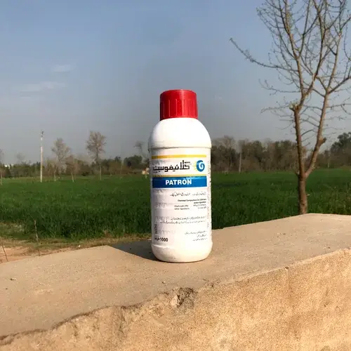 Glyphosate 480g/ltr 41%w/w (Glyphosate) Herbicide 1000ml - Patron Chemicals - Price in Pakistan Today (جڑی بوٹی مار دوا) - Pesticides (Kissan Cares) Price in Pakistan Online | Kissan Cares - Application View Thumbnail