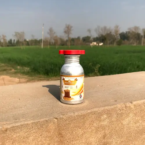 Aluminium Phosphide 30 Tablets Gandam Goli Pesticide 90g - KISSAN Cares - Price in Pakistan Today (گندم) - Pesticides (<p>Pesticides in Pakistan) Price in Pakistan Online | Kissan Cares - Application View Thumbnail