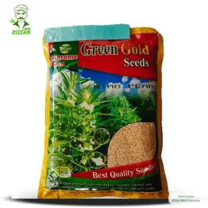 Niab Pearl Sesame Green Seeds White Till Pure Organic Gold Hybrid Seed 1kg - Greengold Agri Seeds - Price In Pakistan Today (تل) - Hybrid Seeds (Niab Pearl Sesame Green Seeds price Pakistan) Price in Pakistan Online | Kissan Cares