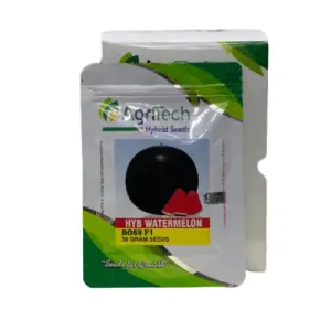 Watermelon Boss Agritech Green F1 Hybrid Gold Round Hybrid Seed 50g - AgriTech Seeds - Price in Pakistan Today (تربوز) - Hybrid Seeds (Hybrid seeds Pakistan) Price in Pakistan Online | Kissan Cares