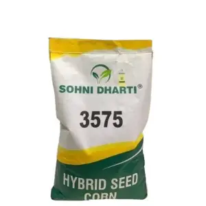 3575 Corn Sohni Dharti Best Corn For Silage Hybrid Seed 10kg - Sohni Dharti Seeds - Price in Pakistan Today (مکئی) - Hybrid Seeds (Hybrid seeds Pakistan) Price in Pakistan Online | Kissan Cares