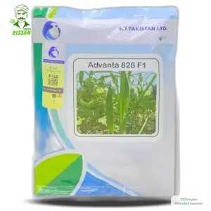 Advanta 828 Okra Vegetable Ici Pakistan Bhindi Lady Finger F1 Hybrid Seed 100gm - (lci) Lucky Core - Price In Pakistan Today (بھنڈی) - Hybrid Seeds (Advanta 828 okra seed price Pakistan) Price in Pakistan Online | Kissan Cares - Back View
