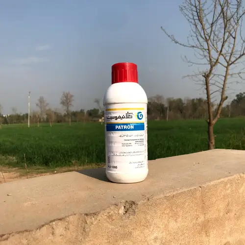 Glyphosate 480g/ltr 41%w/w (Glyphosate) Herbicide 1000ml - Patron Chemicals - Price in Pakistan Today (جڑی بوٹی مار دوا) - Pesticides (Kissan Cares) Price in Pakistan Online | Kissan Cares - Label Detail Thumbnail