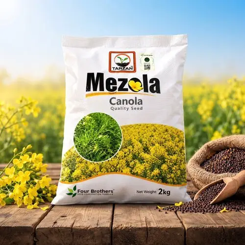 (کینولا کا بیج) Mezola Canola Seed Pakistan | Premium Quality Canola Seeds For Farming | Buy Canola Seed Online From Kissan Cares Canola Beej Cazola Beej 2kg - Bio Traders Tarzan Four Brothers - Hybrid Seeds - Back View Thumbnail