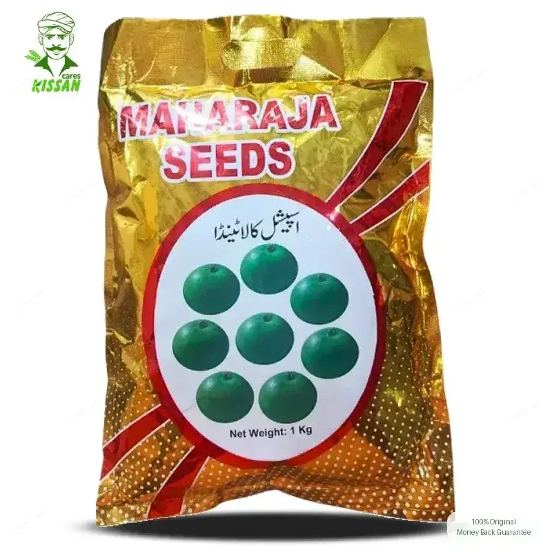 Maharaja Black Tinda Kala Tinda Special Seed 1kg - Maharaja Seeds - Price In Pakistan Today (ٹنڈا) - Hybrid Seeds (Maharaja Black Tinda Seed 1kg price) Price in Pakistan Online | Kissan Cares