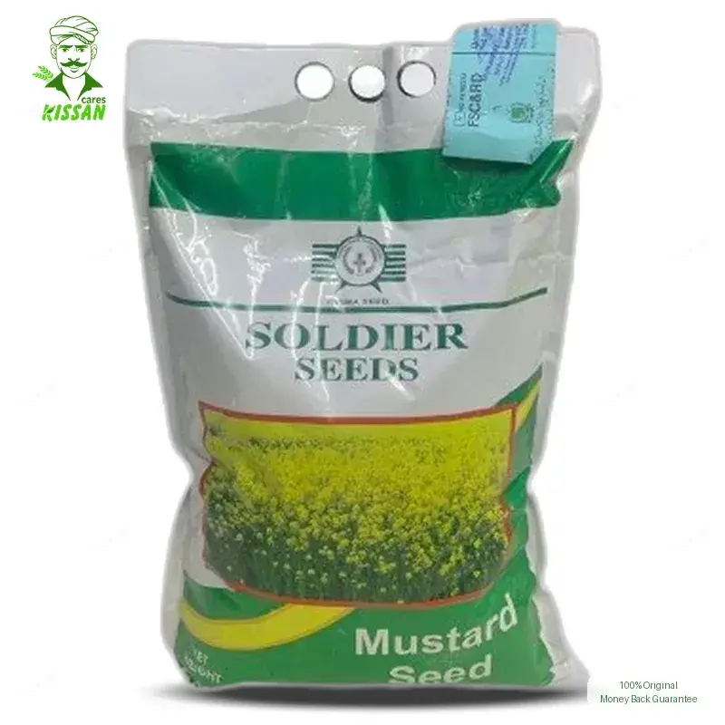Aari Canola Soldier Seeds Corporation Mustard Canola Sarson Sarsoon Toria Raya Aari Canola Super Hybrid Seed 2kg - KISSAN Cares - Price in Pakistan Today (سرسوں) - Hybrid Seeds (Hybrid seeds Pakistan) Price in Pakistan Online | Kissan Cares - Application View Thumbnail