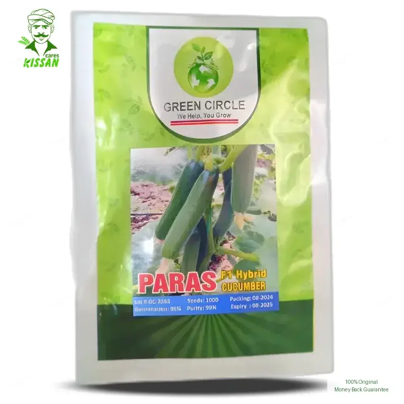 Green Circle Paras Cucumber 1000 Seeds In Packet Hybrid Seed - Price In Pakistan Today (کھیرا) - Hybrid Seeds (Green Circle Paras Cucumber seeds price Pakistan) Price in Pakistan Online | Kissan Cares