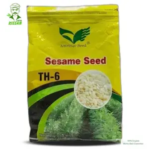 Seasame White Till Th-6 Amritsar Corporation Hybrid Seed 1kg - Amritsar Seed Corporation - Price in Pakistan Today (تل) - Seeds (Hybrid seeds Pakistan) Price in Pakistan Online | Kissan Cares