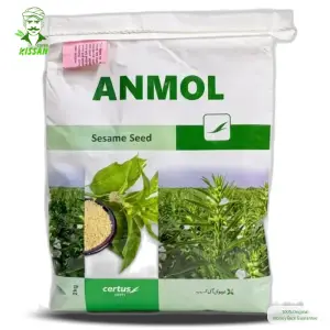 (تِل کا بیج) Sesame Seed Anmol Seasame Till Seed Pure Oranic White Sesame Seed Bushy Plant Sesame Th 05 Ts05 2kg - Combagro Evyol Kanzo by Evyol group - Seeds (Evyol Anmol Sesame Seed price) Price in Pakistan Online | Kissan Cares