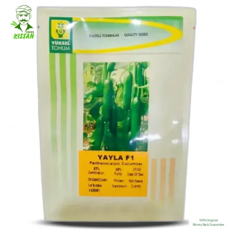 Yuksel Yayla Cucumber Vegetable Seeds Yuksel Tohem F1 Hybrid Seed - Price In Pakistan Today (کھیرا) - Hybrid Seeds (Yuksel Yayla cucumber seeds price Pakistan) Price in Pakistan Online | Kissan Cares