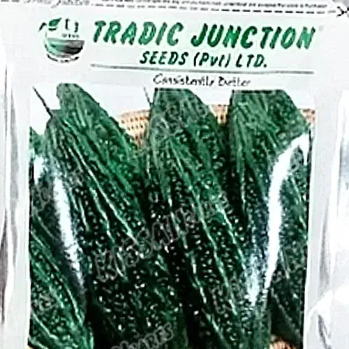 Bitter Gourd Charles Vegetable Karela F1 Hybrid Seed - Tradic Junction - Price in Pakistan Today (کریلا) - Hybrid Seeds (Hybrid seeds Pakistan) Price in Pakistan Online | Kissan Cares - Back View Thumbnail