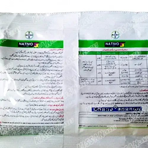 Tebuconazole 200 g/l and Trifloxystrobin 100 g/l. Fungicide 65gm - BAYER - Price in Pakistan Today (اللی مار دوا) - Pesticides (Kissan Cares) Price in Pakistan Online | Kissan Cares - Label Detail Thumbnail