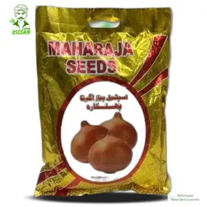 Onion Phulkara Payaz Beej Green Power Seeds Hybrid Seed 1kg - Maharaja Seeds - Price In Pakistan Today (پیاز) - Seeds (Hybrid seeds Pakistan) Price in Pakistan Online | Kissan Cares - Back View
