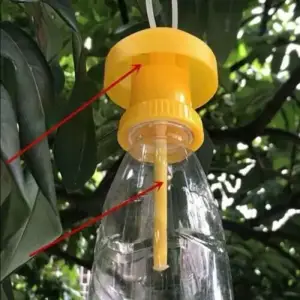 Fruitfly Trap 1pc Reusable Plastic Bottle Top Trap Fly Catcher Pesticare Orchard Gaurdian Fruit Fly Traps Insect Control For Indoor And Outdoor Farmguard Eco Trap Phal Ki Makhi Household Products - KISSAN Cares - Price in Pakistan Today - Household Products Price in Pakistan Online | Kissan Cares - Back View