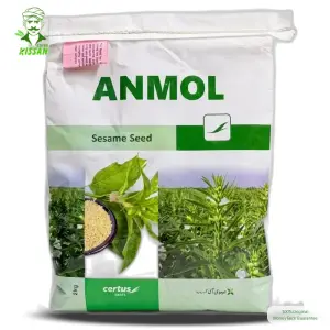 (تِل کا بیج) Sesame Seed Anmol Seasame Till Seed Pure Oranic White Sesame Seed Bushy Plant Sesame Th 05 Ts05 2kg - Combagro Evyol Kanzo by Evyol group - Seeds (Evyol Anmol Sesame Seed price) Price in Pakistan Online | Kissan Cares - Back View