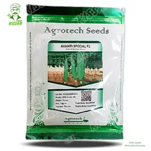 Avanti Sponge Gourd Tori Vegetable Agrotech F1 Hybrid Special Hybrid Seed 50 g - Price in Pakistan Today (بیج) - Hybrid Seeds (Hybrid seeds Pakistan) Price in Pakistan Online | Kissan Cares - Back View
