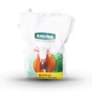 Rachna Multicut Bajra Millet Fodder Bajra Seeds Hybrid Seed 2kg - Rachna Agri Business - Price In Pakistan Today (بیج) - Seeds (<p>Hybrid seeds Pakistan) Price in Pakistan Online | Kissan Cares