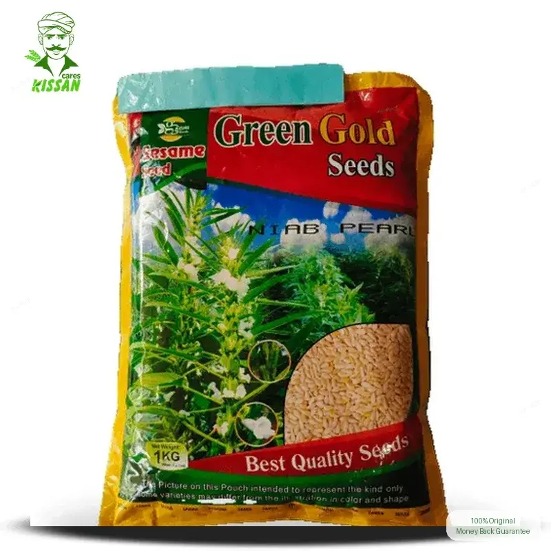 Niab Pearl Sesame Green Seeds White Till Pure Organic Gold Hybrid Seed 1kg - Greengold Agri Seeds - Price In Pakistan Today (تل) - Hybrid Seeds (Niab Pearl Sesame Green Seeds price Pakistan) Price in Pakistan Online | Kissan Cares - Back View Thumbnail