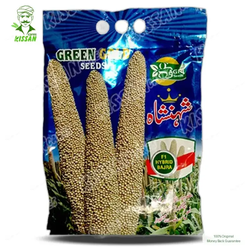 Pearl Millet Shahansha 2. Pakkawan Bajra F1 Hybrid Seed 5kg - GreenGold Agri Seeds - Price in Pakistan Today (بیج) - Hybrid Seeds (Hybrid seeds Pakistan) Price in Pakistan Online | Kissan Cares - Label Detail Thumbnail