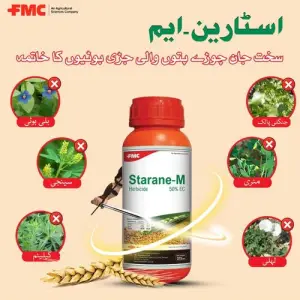 Fluroxypyr 9.7% MCPA 38.8% Inerts 51.50% 50EC Weedicide 375ml - FMC Pakistan - Price in Pakistan Today (گندم) - Pesticides (Wheat rate today) Price in Pakistan Online | Kissan Cares