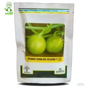 Dil Pasand Tinda Kalash Millan Agro | Tinda Beej Pakistan F1 Hybrid Round Hybrid Seed 50g - Kalash Seeds pvt. Limited - Price in Pakistan Today (ٹنڈا) - Hybrid Seeds (Hybrid seeds Pakistan) Price in Pakistan Online | Kissan Cares