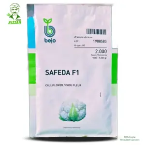 Safeda Cauliflower / Chou Fleur Bejo Gobi F1 Hybrid Seed - Millan Agro Seed - Price In Pakistan Today (گوبھی بیج) - Hybrid Seeds (Safeda Cauliflower F1 hybrid seed) Price in Pakistan Online | Kissan Cares - Back View