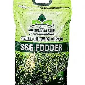 Sweet Chow (usa) Ssg Fooder Millan Agro F1 Hybrid Seed 10kg - Millan Agro Seed - Price in Pakistan Today (بیج) - Seeds (Hybrid seeds Pakistan) Price in Pakistan Online | Kissan Cares - Back View