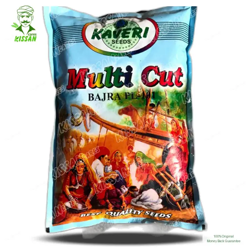 Bajra Multicut Bajra Millet High Quality Desi Hybrid Seed 2kg - KISSAN Cares - Price in Pakistan Today (بیج) - Seeds (Hybrid seeds Pakistan) Price in Pakistan Online | Kissan Cares