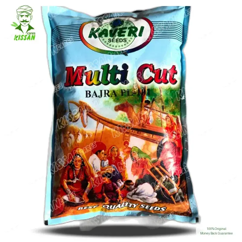 Bajra Multicut Bajra Millet High Quality Desi Hybrid Seed 2kg - KISSAN Cares - Price in Pakistan Today (بیج) - Seeds (Hybrid seeds Pakistan) Price in Pakistan Online | Kissan Cares - Application View Thumbnail
