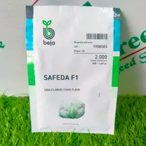 Safeda Cauliflower / Chou Fleur Bejo Gobi F1 Hybrid Seed - Millan Agro Seed - Price in Pakistan Today (بیج) - Hybrid Seeds (Hybrid seeds Pakistan) Price in Pakistan Online | Kissan Cares