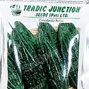 Bitter Gourd Charles Vegetable Karela F1 Hybrid Seed - Tradic Junction - Price in Pakistan Today (کریلا) - Hybrid Seeds (Hybrid seeds Pakistan) Price in Pakistan Online | Kissan Cares - Back View