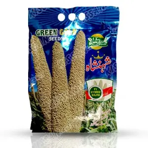 Pearl Millet Shahansha 2. Pakkawan Bajra F1 Hybrid Seed 5kg - GreenGold Agri Seeds - Price in Pakistan Today (بیج) - Hybrid Seeds (Hybrid seeds Pakistan) Price in Pakistan Online | Kissan Cares