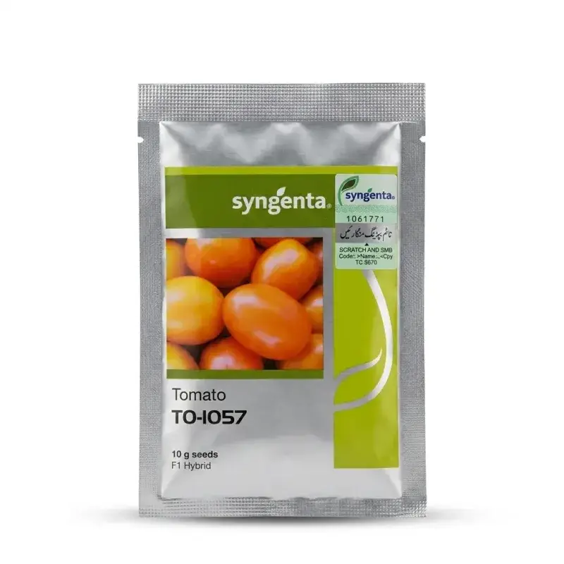 (ہائبرڈ ٹماٹر کا بیج) 1057 Tomato Hybrid F1 Seed Treated With Thiram And Carbendazim Tomato Seed 10gm - Syngenta Pakistan Limited by Syngenta Seeds - Hybrid Seeds (Syngenta 1057 tomato seed price) Price in Pakistan Online | Kissan Cares