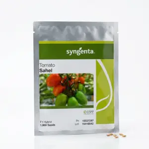 (ہائبرڈ ٹماٹر کا بیج) Sahel Tomato Hybrid F1 Seed Treated With Fludioxonil Imported Neherlands Bail Wala Tomato Climbing Tomato Seed 1000 Seeds 1000 Seeds - Syngenta Pakistan by Syngenta Seeds - Hybrid Seeds (Syngenta Sahel Tomato F1 seed price) Price in Pakistan Online | Kissan Cares - Back View