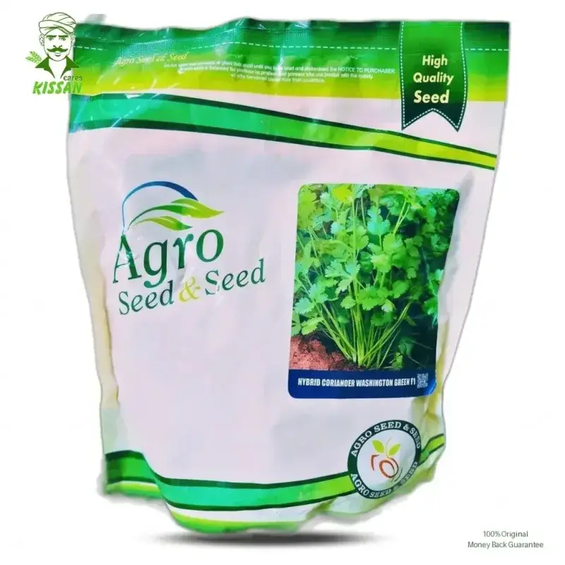 Coriander Dhaniya F1 Hybrid Washington Green Hybrid Seed 500g - Millan Agro Seed - Price In Pakistan Today (دھنیا) - Hybrid Seeds (<p>Coriander Dhaniya F1 Hybrid Washington Green Hybrid Seed 500g price) Price in Pakistan Online | Kissan Cares