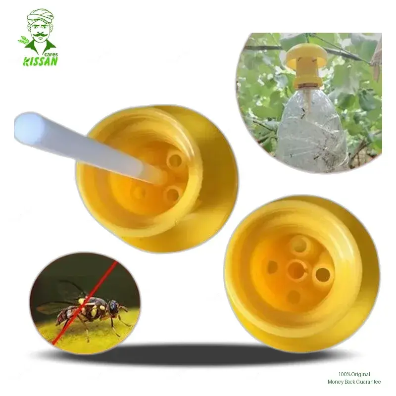 Fruitfly Trap 1pc Reusable Plastic Bottle Top Trap Fly Catcher Pesticare Orchard Gaurdian Fruit Fly Traps Insect Control For Indoor And Outdoor Farmguard Eco Trap Phal Ki Makhi Household Products - KISSAN Cares - Price in Pakistan Today - Household Products Price in Pakistan Online | Kissan Cares