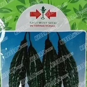 Bitter Gourd Pasha 15 Vegetable Seeds Kerela F1 Hybrid Seed 50gm - Haji Sons - Price in Pakistan Today (کریلا) - Seeds (Hybrid seeds Pakistan) Price in Pakistan Online | Kissan Cares - Back View