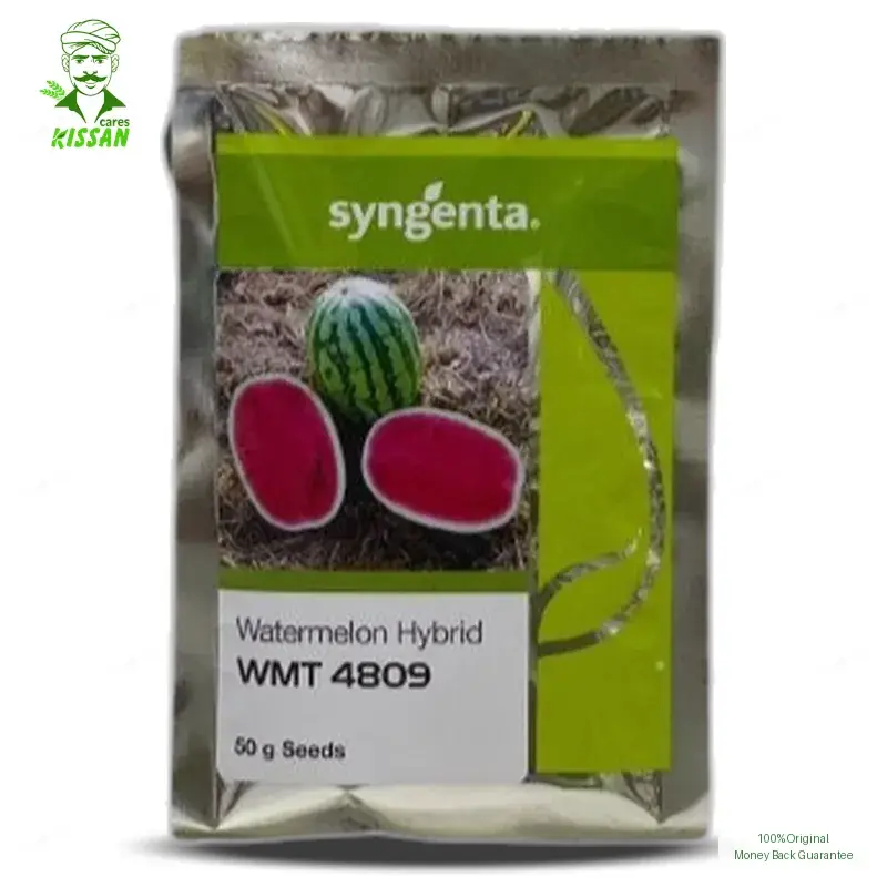 (تربوز) Wmt 4809 Watermelon Syngenta Long Water Melon Tori Tarbooz F1 Hybrid Seed 50gm - Syngenta Seeds - Hybrid Seeds (Hybrid seeds Pakistan) Price in Pakistan Online | Kissan Cares - Label Detail Thumbnail