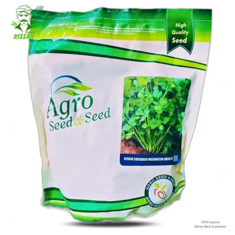 Coriander Dhaniya F1 Hybrid Washington Green Hybrid Seed 500g - Millan Agro Seed - Price In Pakistan Today (دھنیا) - Hybrid Seeds (<p>Coriander Dhaniya F1 Hybrid Washington Green Hybrid Seed 500g price) Price in Pakistan Online | Kissan Cares - Back View Thumbnail