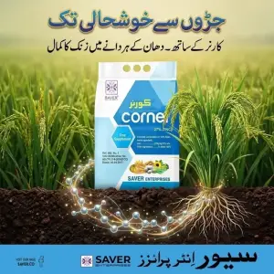 (زنک 27 فیصد) Corner Zinc 27 Percent Crop Supplement Zinc Sulfate Zn Micronutrients (zincstar Fmc) 3kg - Saver Enterprises - Pesticides (Corner Zinc 27 percent price Pakistan) Price in Pakistan Online | Kissan Cares