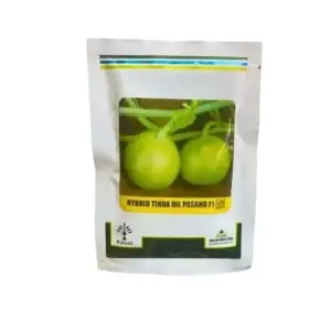 Tinda Dil Pasand Gourd Beej | Kalash Millan Agro | Summer Vegetable Seeds Pakistan F1 Hybrid Round Hybrid Seed 50gm - Millan Agro Seed - Price in Pakistan Today (ٹنڈا) - Hybrid Seeds (Hybrid seeds Pakistan) Price in Pakistan Online | Kissan Cares - Back View